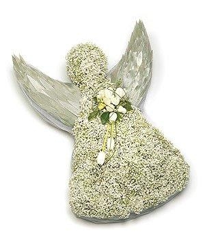Silver winged angel funeral tribute made with massed gypsophila. 