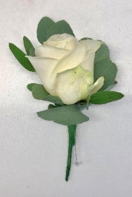 White rose buttonhole with foliage and pin. 