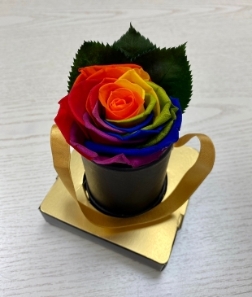 Forever rose in rainbow colours displayed in a mini hatbox with ribbon. 