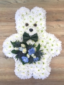 Boy teddy bear tribute with bow tie and blue accent flowers. 